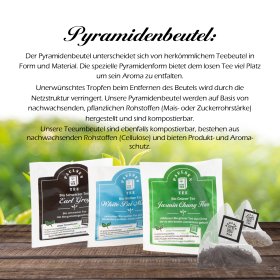 Bio Zimt Ingwer, schwarzer Tee, Chai Tee im Pyramidenbeutel